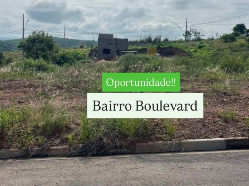 WhatsApp Image 2026-03-25 at 12.58.28